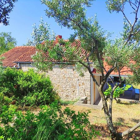 فيلا Aldos House Ražanj المظهر الخارجي الصورة