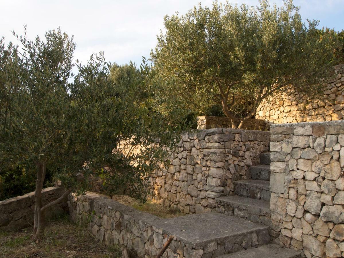 فيلا Aldos House Ražanj المظهر الخارجي الصورة